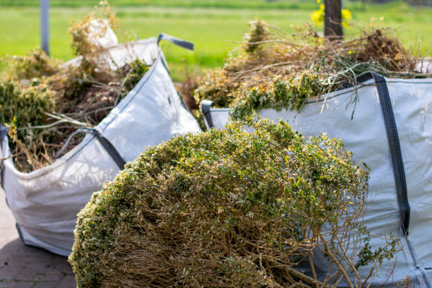 Best Moving and Downsizing Cleanouts  in Kitsap Lake, WA