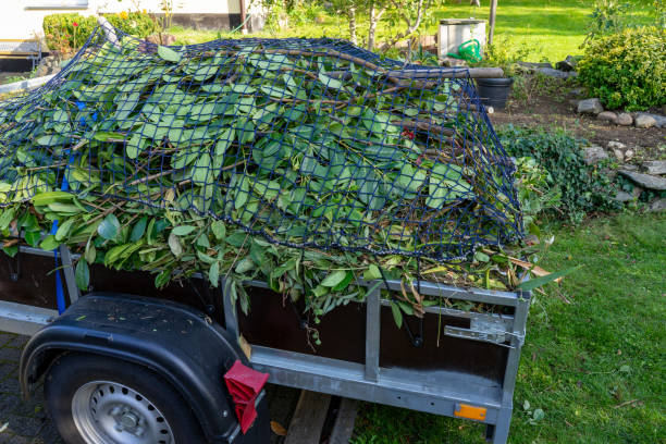 Best Appliance Removal  in Kitsap Lake, WA